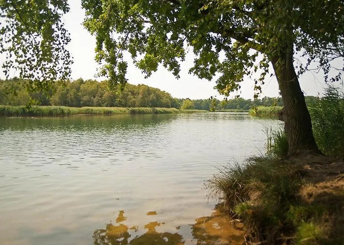 Hospoda-Ferienhaus Am Olba-See